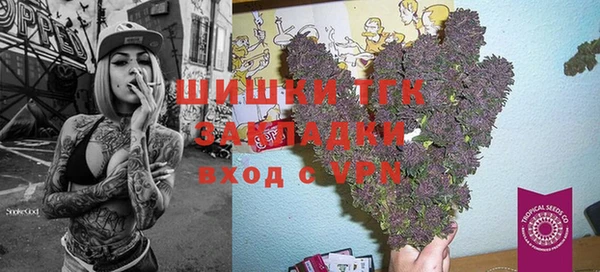 ПСИЛОЦИБИНОВЫЕ ГРИБЫ Алексин