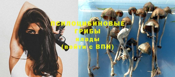 PSILOCYBIN Абаза