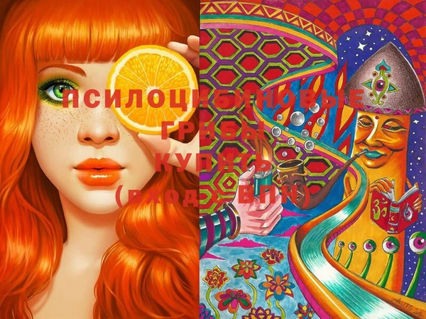 PSILOCYBIN Абаза