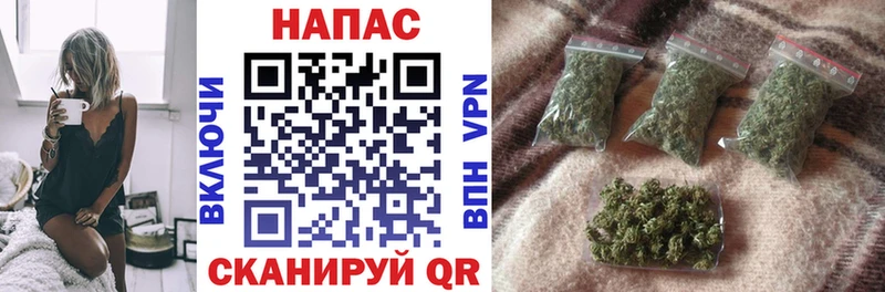 МАРИХУАНА SATIVA & INDICA  Ладушкин 